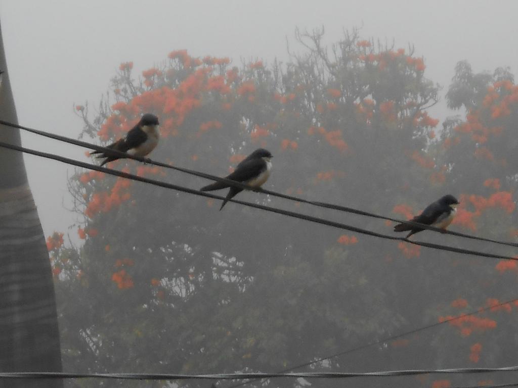 Pousada Da Matriz Piedade do Paraopeba Luaran gambar
